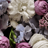 Gardenia + Powdery Musk