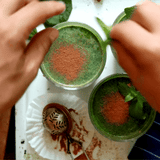 Minty + Powder