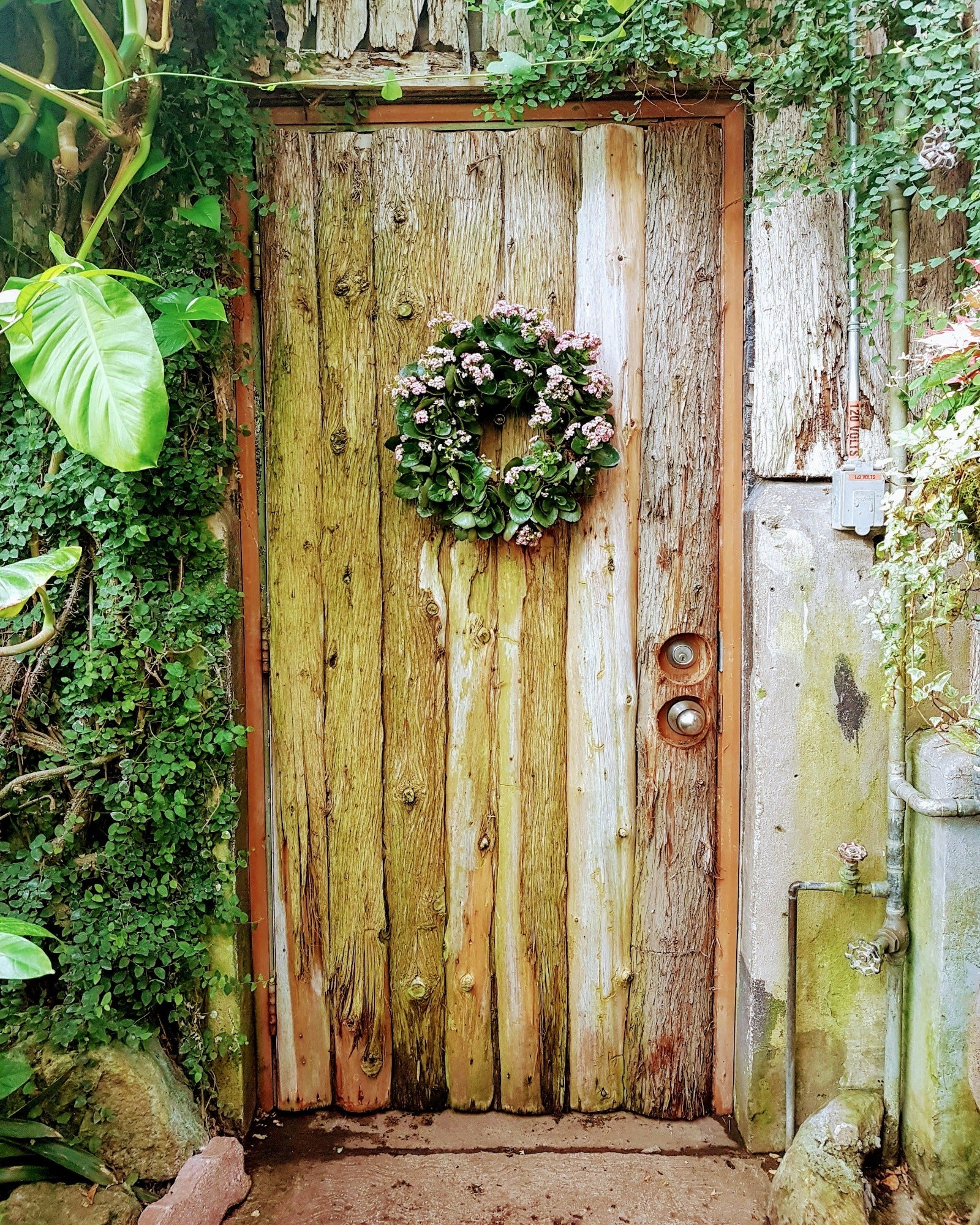 Wreath on a rustic door. Apple Wreath fragrance oil by Scentivore.