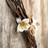 Cinnamon pods and flowers. Autumn Floral Spice fragrance oil by Scentivore.