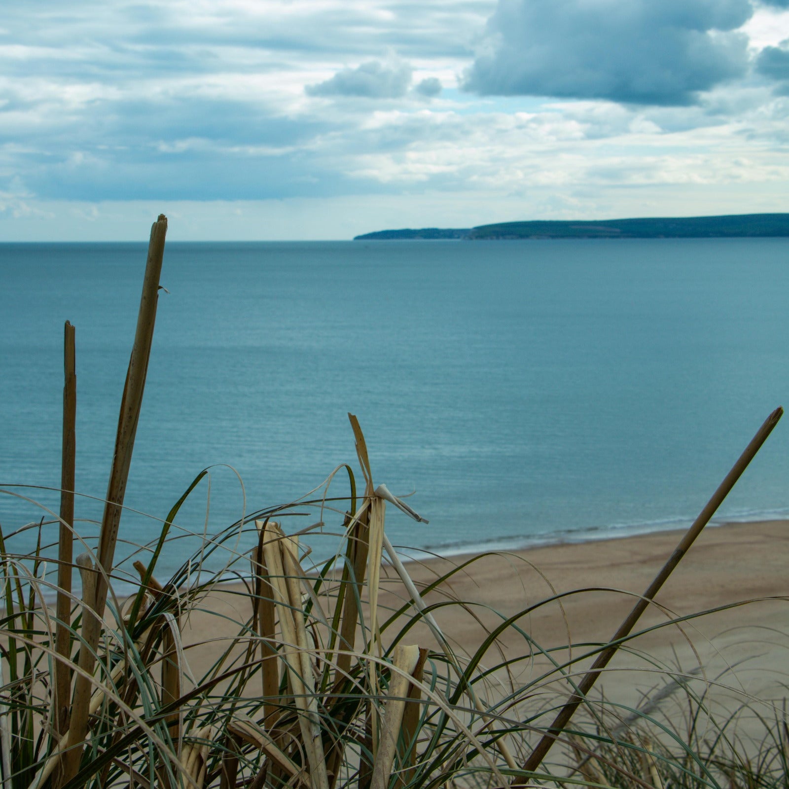 A nice beach weather. Beach Weather fragrance oil by Scentivore. 