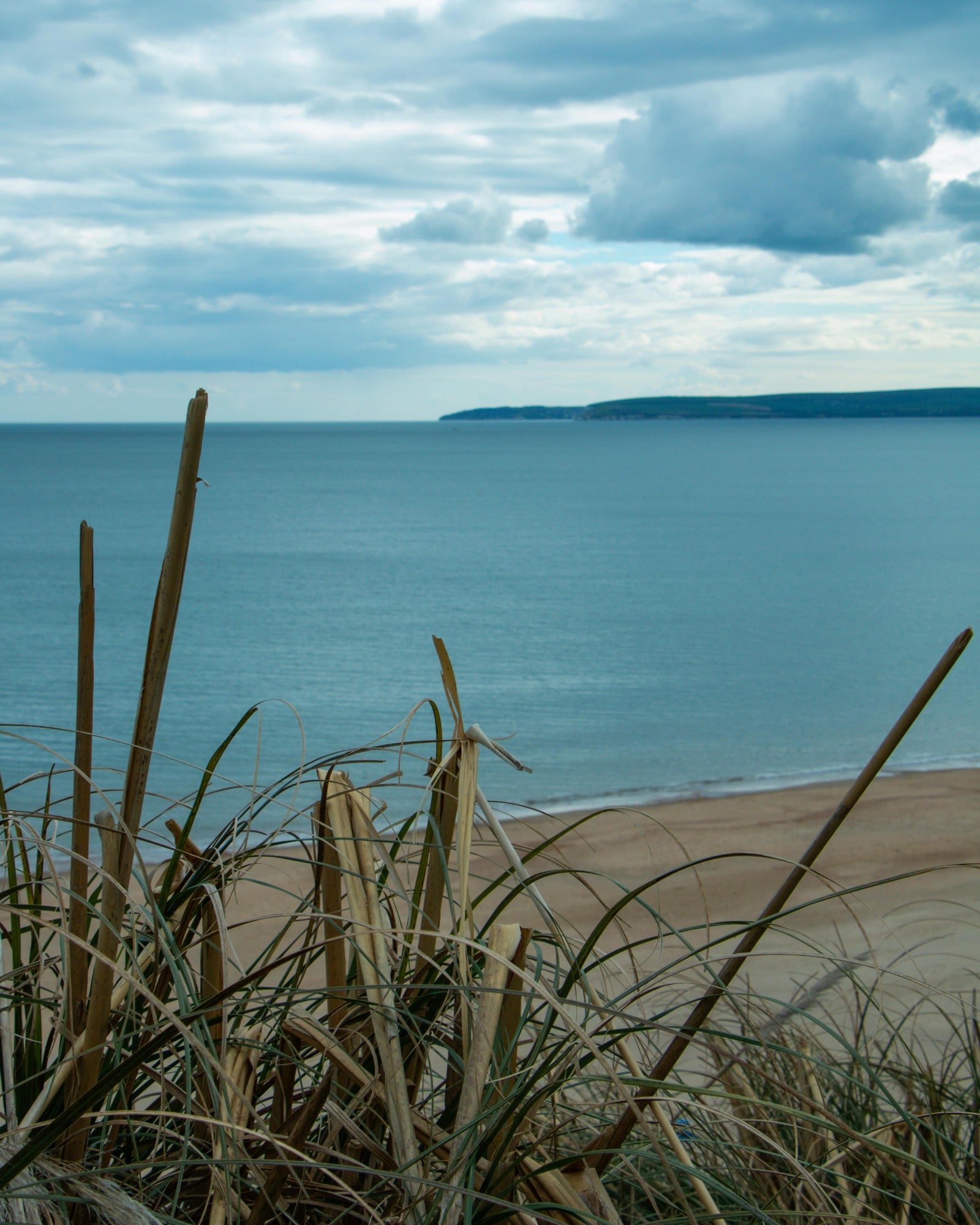 A nice beach weather. Beach Weather fragrance oil by Scentivore. 