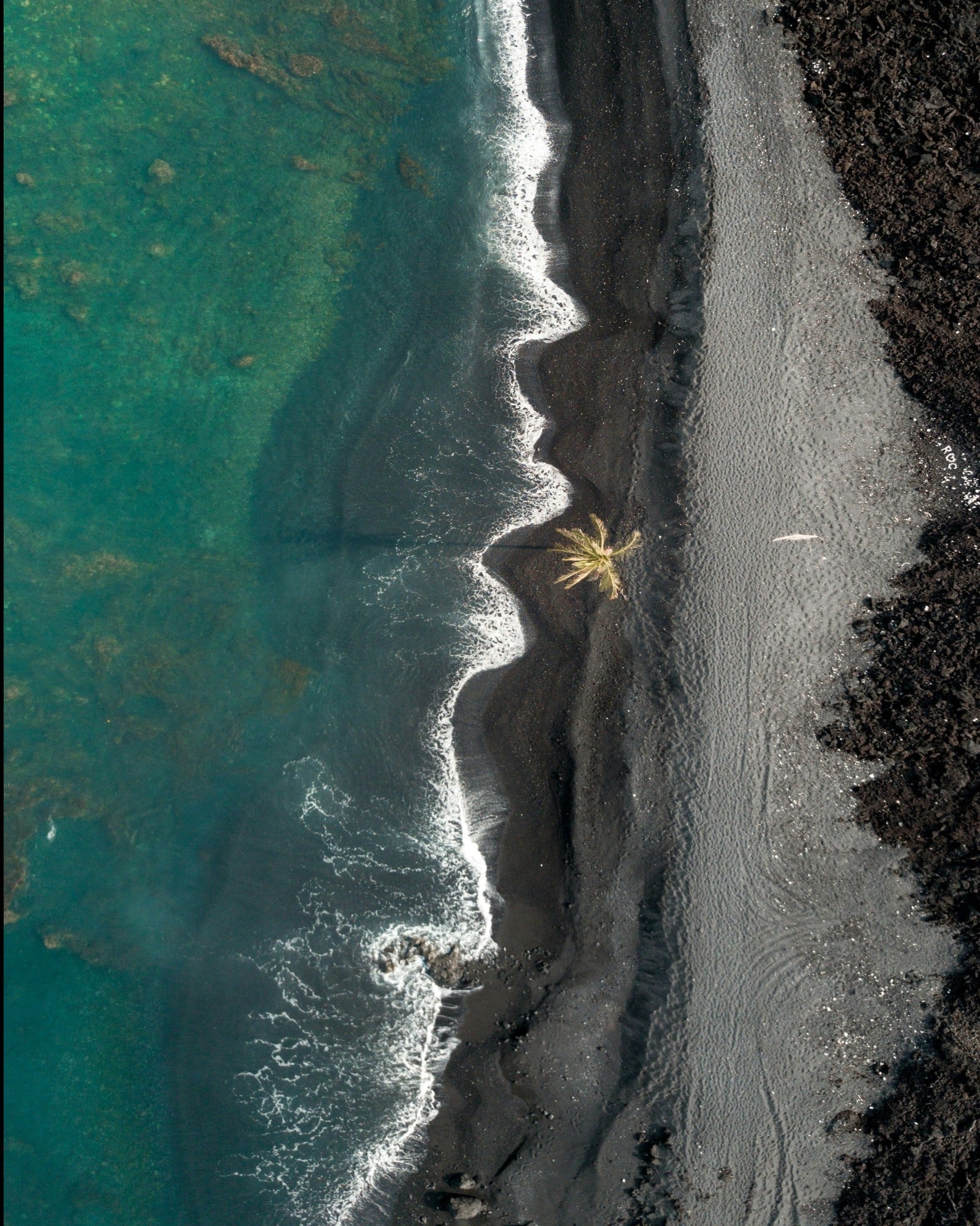 Black sands beach. Black Coconut Sands fragrance oil by Scentivore.