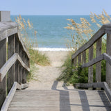 Beach boardwalk. Boardwalk scent fragrance oil. By Scentivore.