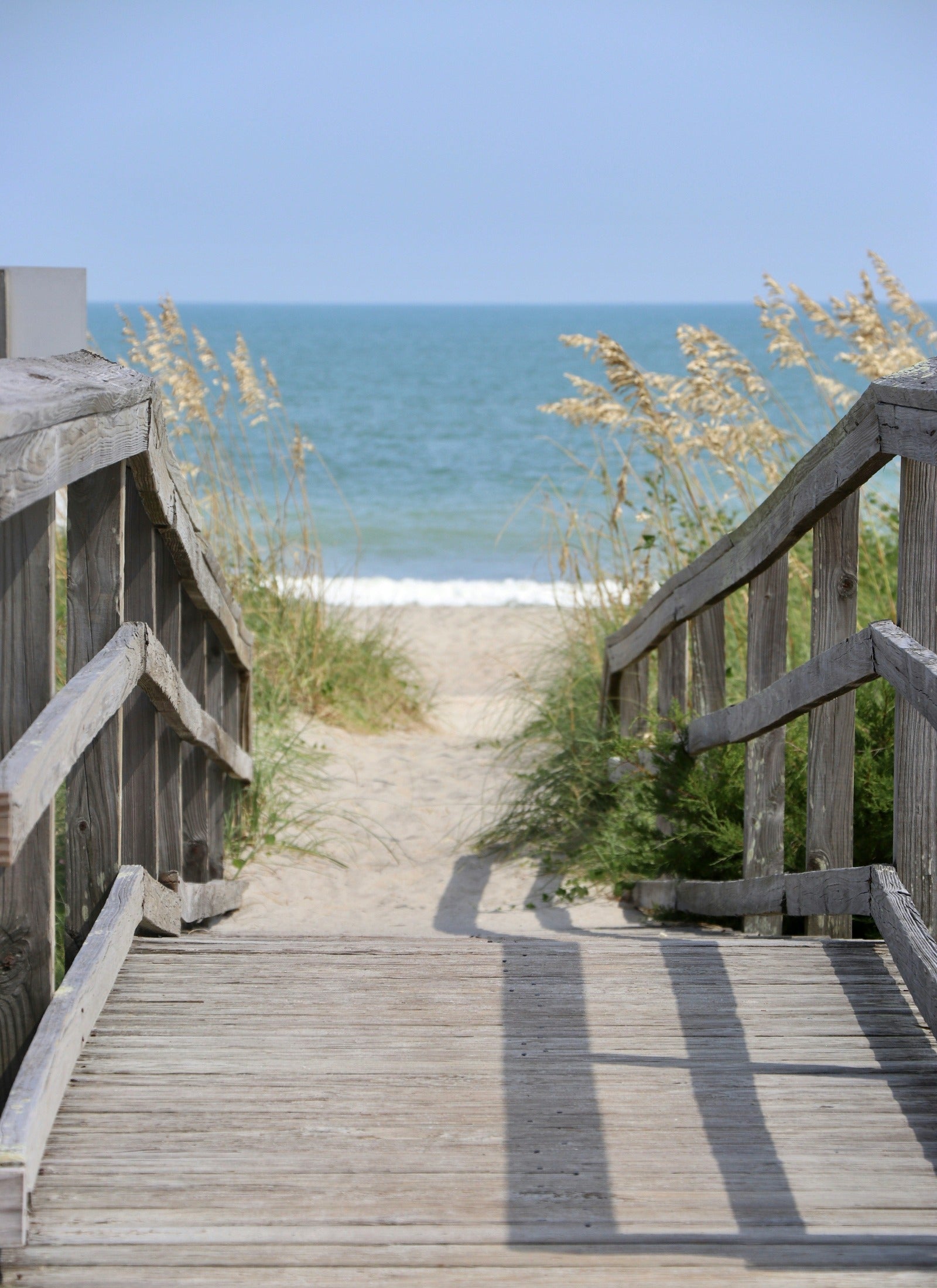 Beach boardwalk. Boardwalk scent fragrance oil. By Scentivore.