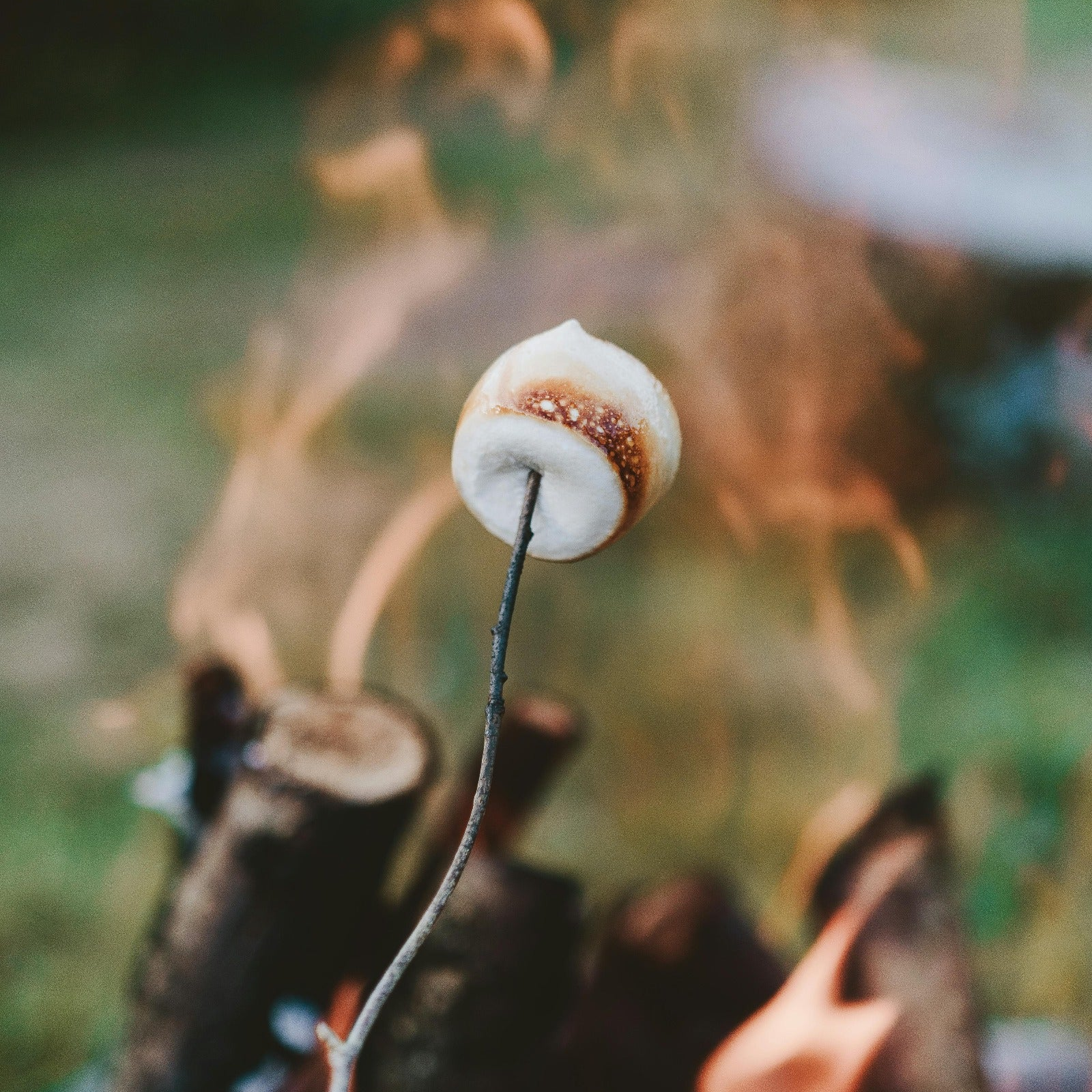 S'mores over a campfire. Bonfire Smores fragrance oil by Scentivore.