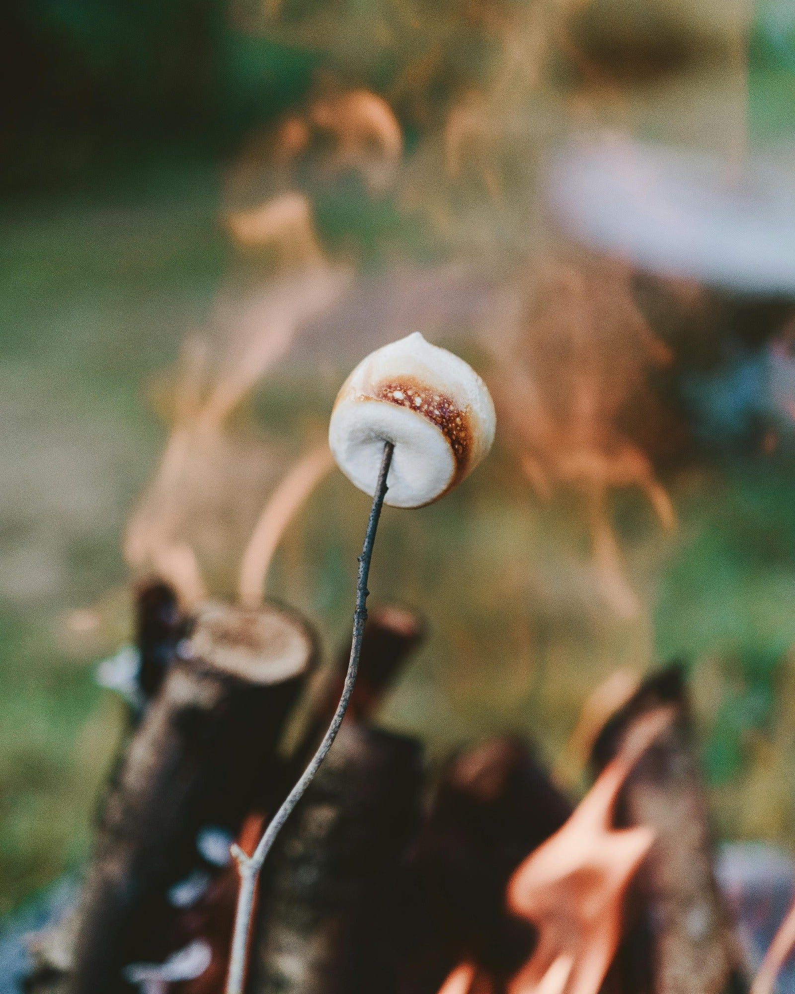 S'mores over a campfire. Bonfire Smores fragrance oil by Scentivore.