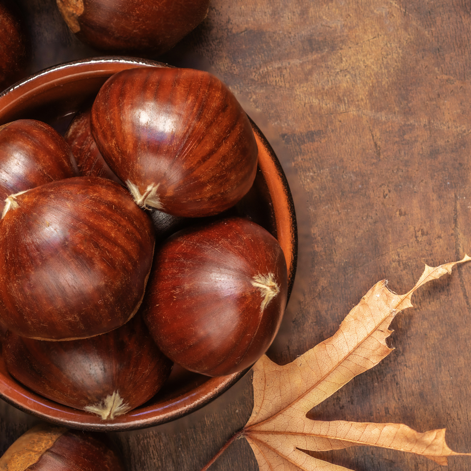 Chestnuts on a bowl on a birch tabletop. Chestnut & Birch fragrance oil by Scentivore. For soap and candle-making. 