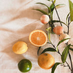 Fresh citrus fruits flat lay photo. Citrus Applewood fragrance oil by Scentivore. 