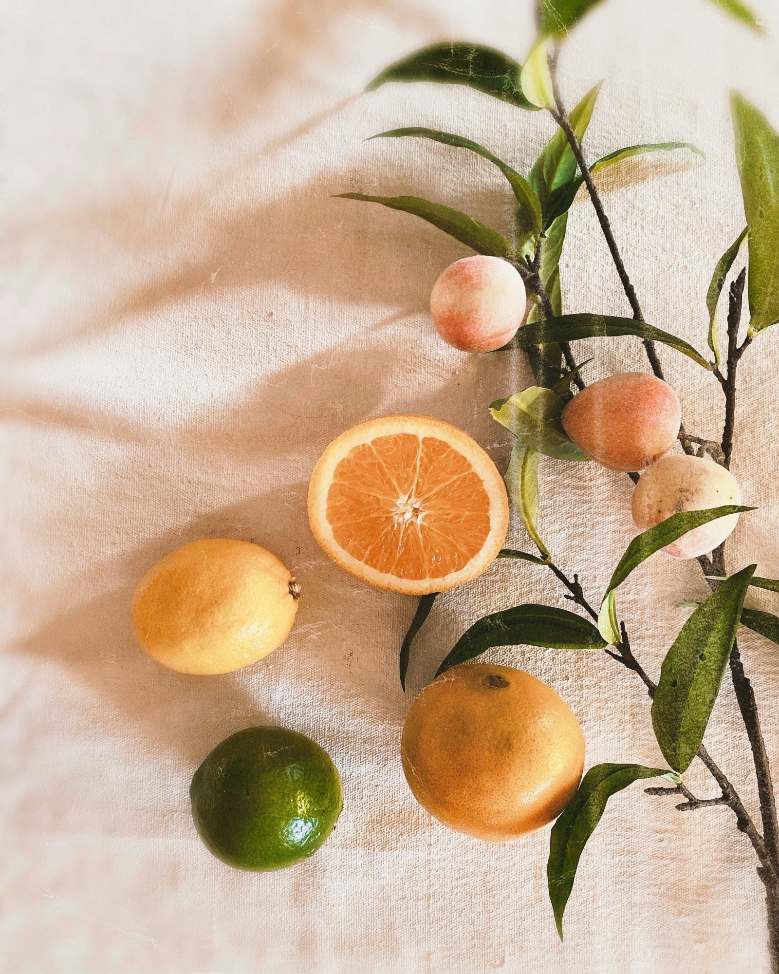 Fresh citrus fruits flat lay photo. Citrus Applewood fragrance oil by Scentivore. 