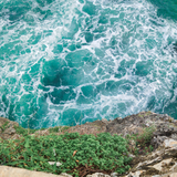 Waves. Coral Waves fragrance oil by Scentivore.