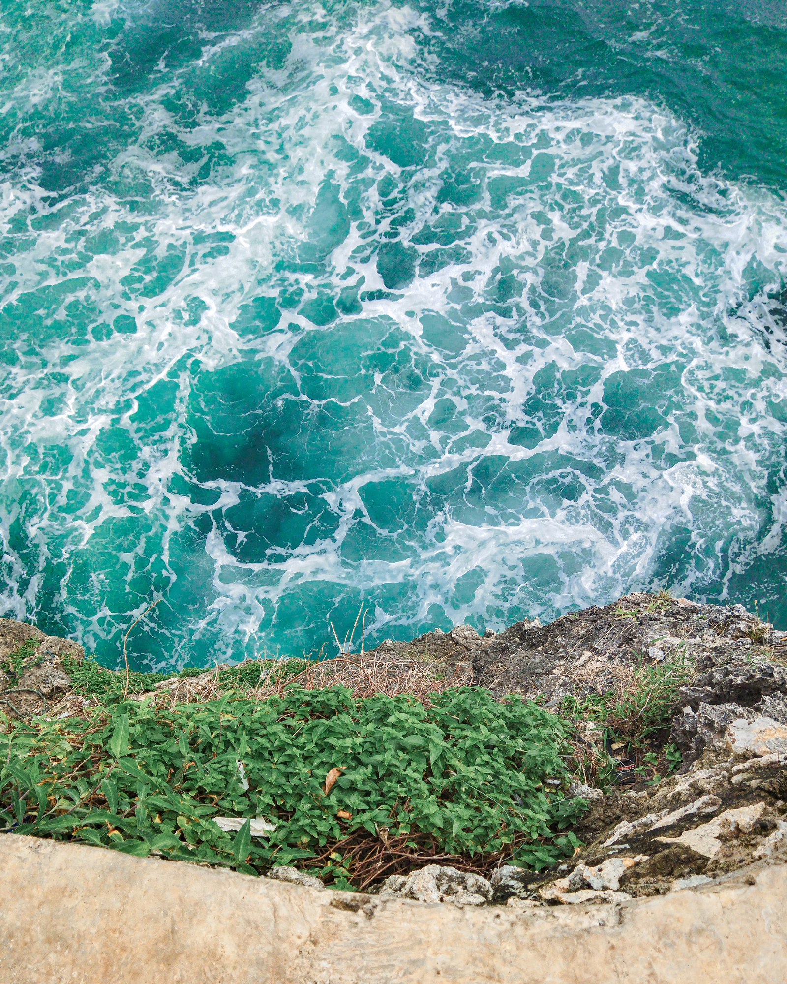 Waves. Coral Waves fragrance oil by Scentivore.