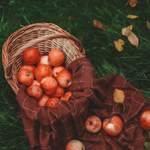 Freshly picked apples from the farm. Farm Picked Apple by Scentivore. Soap and candle-making fragrance oil. 