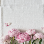 Linen and peony flowers. Linen & Peony Fusion fragrance oil by Scentivore. 