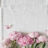 Linen and peony flowers. Linen & Peony Fusion fragrance oil by Scentivore. 