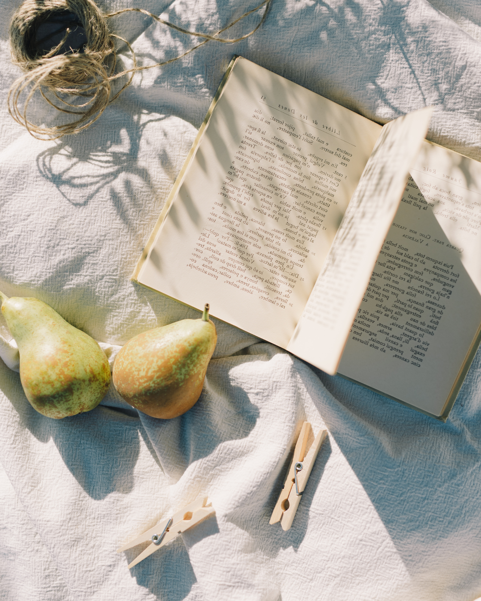 Pear and books. Pear + Musk fragrance oil for soap and candle making. Scentivore.