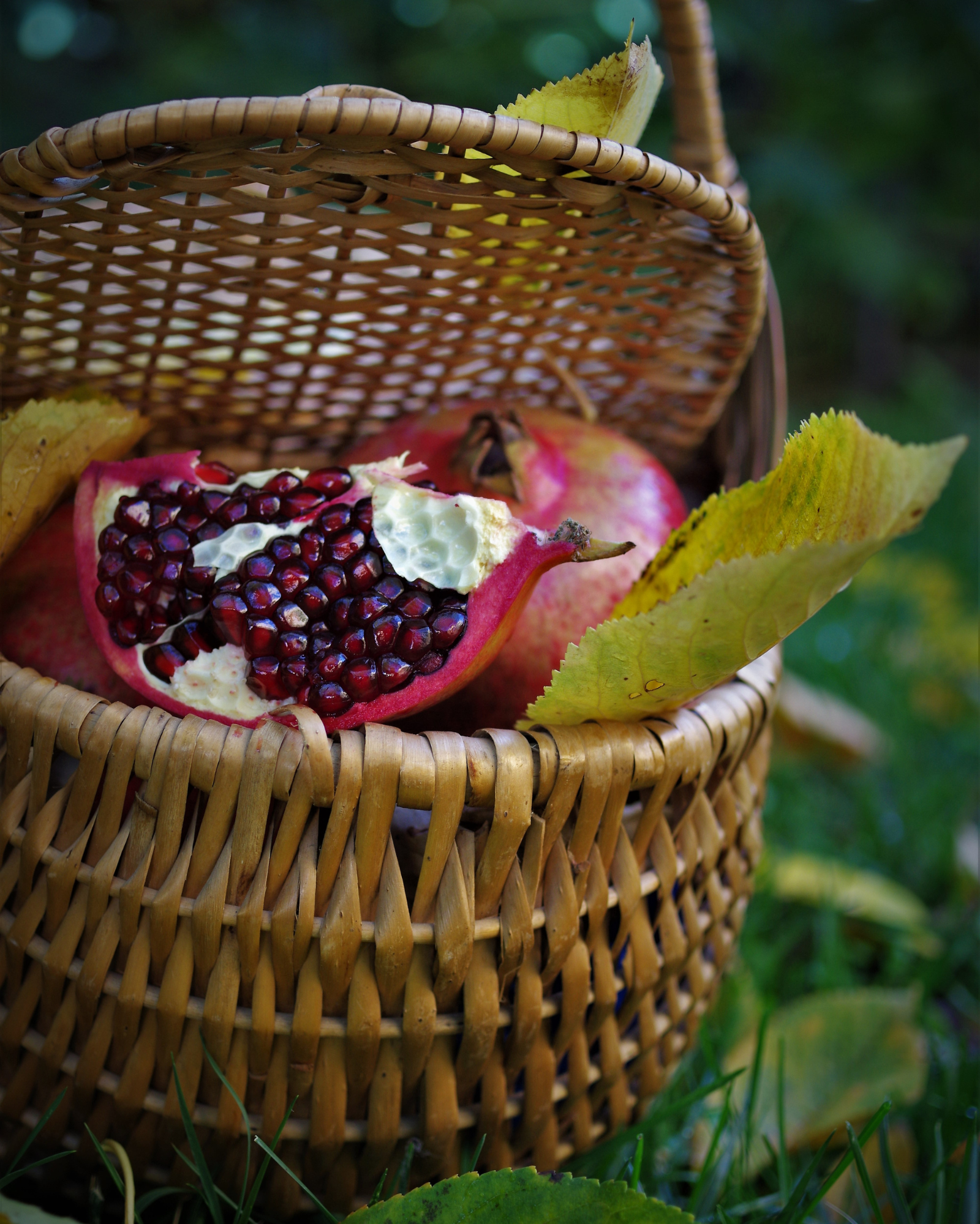 Fresh pomegranates on a basket. Pomegranate Harvest fragrance oil by Scentivore. For soap and candle making. 