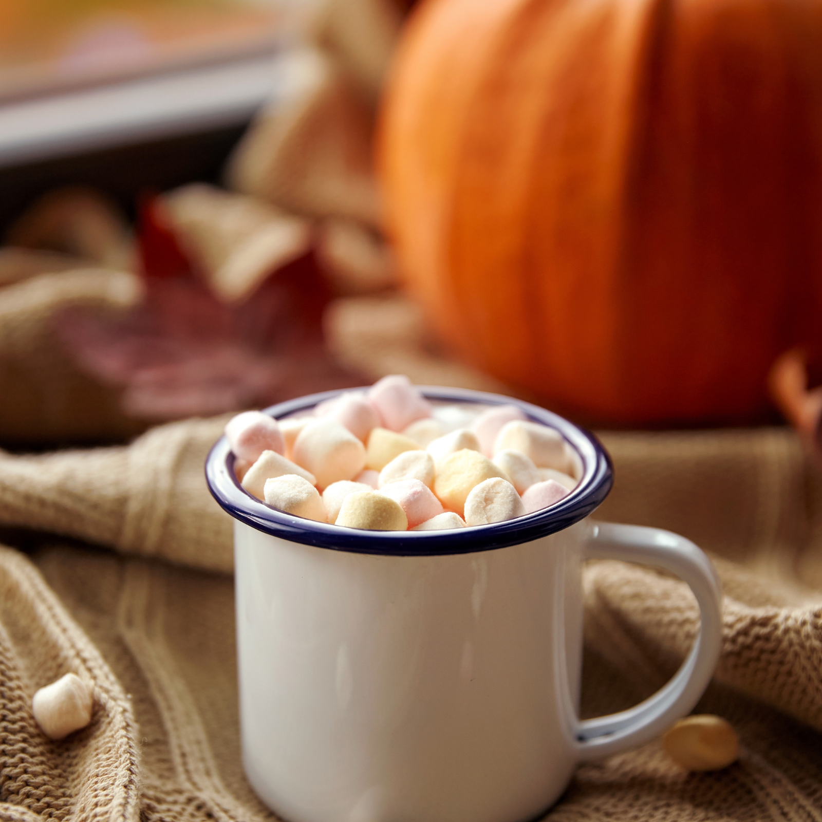 Pumpkin and marshmallows cocoa. Pumpkin Marshmallow fragrance oil for soap and candle making. Scentivore. 