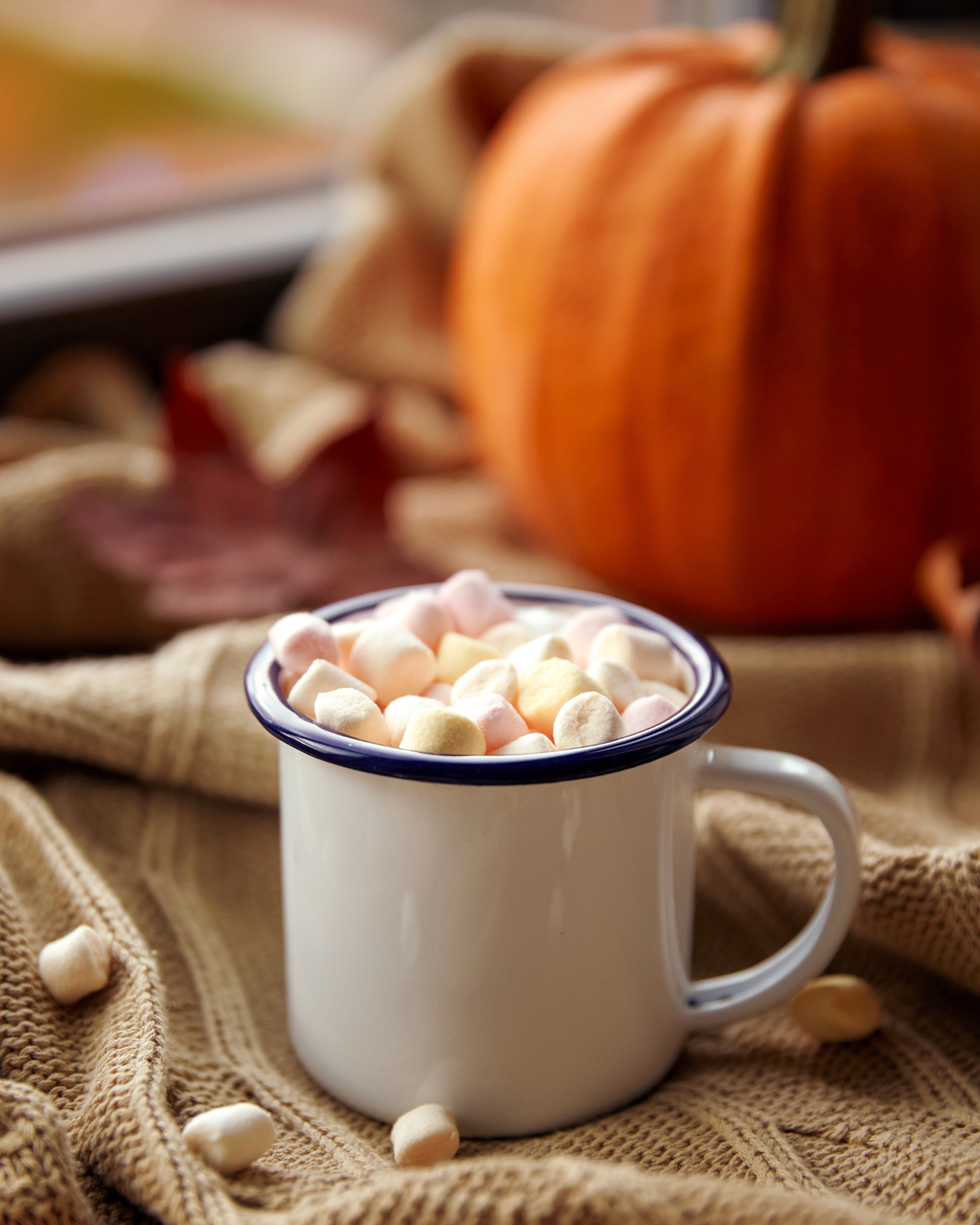 Pumpkin and marshmallows cocoa. Pumpkin Marshmallow fragrance oil for soap and candle making. Scentivore. 