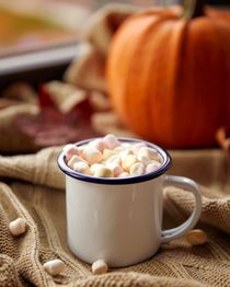 Pumpkin and marshmallows cocoa. Pumpkin Marshmallow fragrance oil for soap and candle making. Scentivore. 