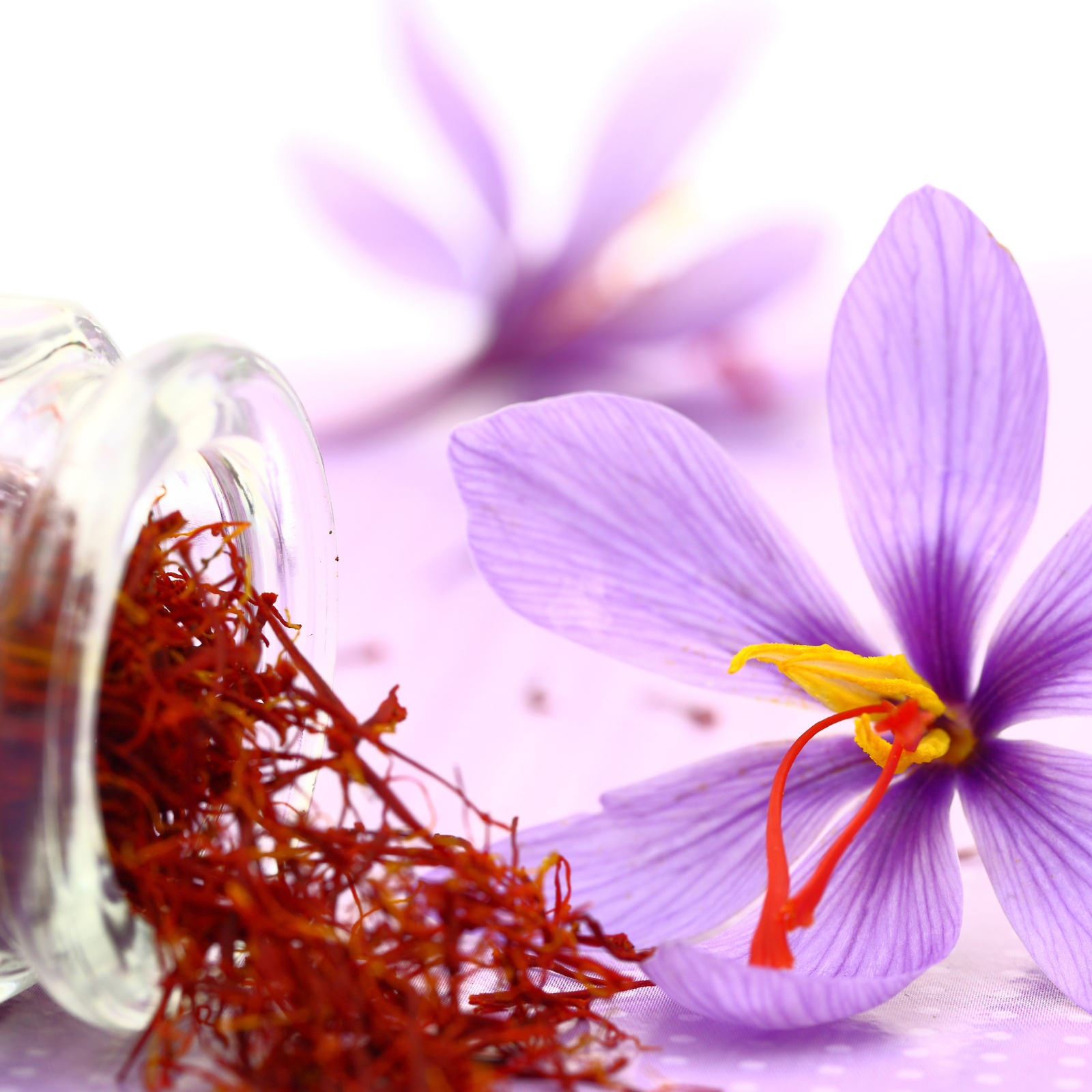 Saffron and flowers. Saffron + Ginger fragrance oil by Scentivore. Wholesale fragrance oil. 