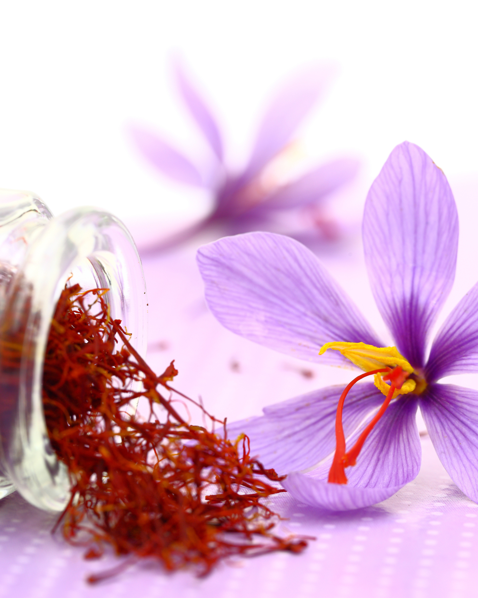 Saffron and flowers. Saffron + Ginger fragrance oil by Scentivore. Wholesale fragrance oil. 