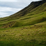 Saint Helena Island. Fragrance oil by Scentivore. For soap and candle-making.