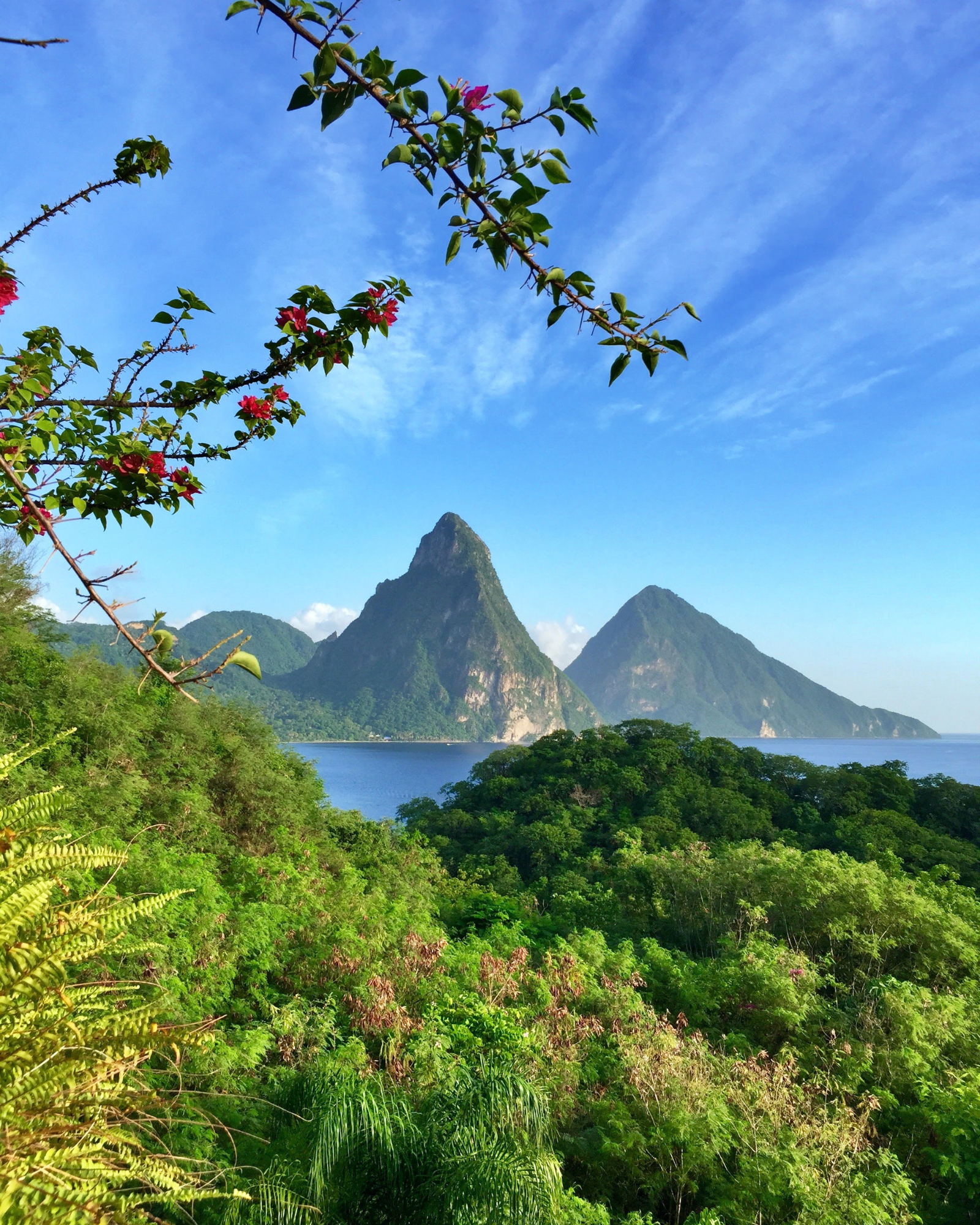 A view of Saint Lucia Island. Saint Lucia Island fragrance oil by Scentivore. For soap making. 