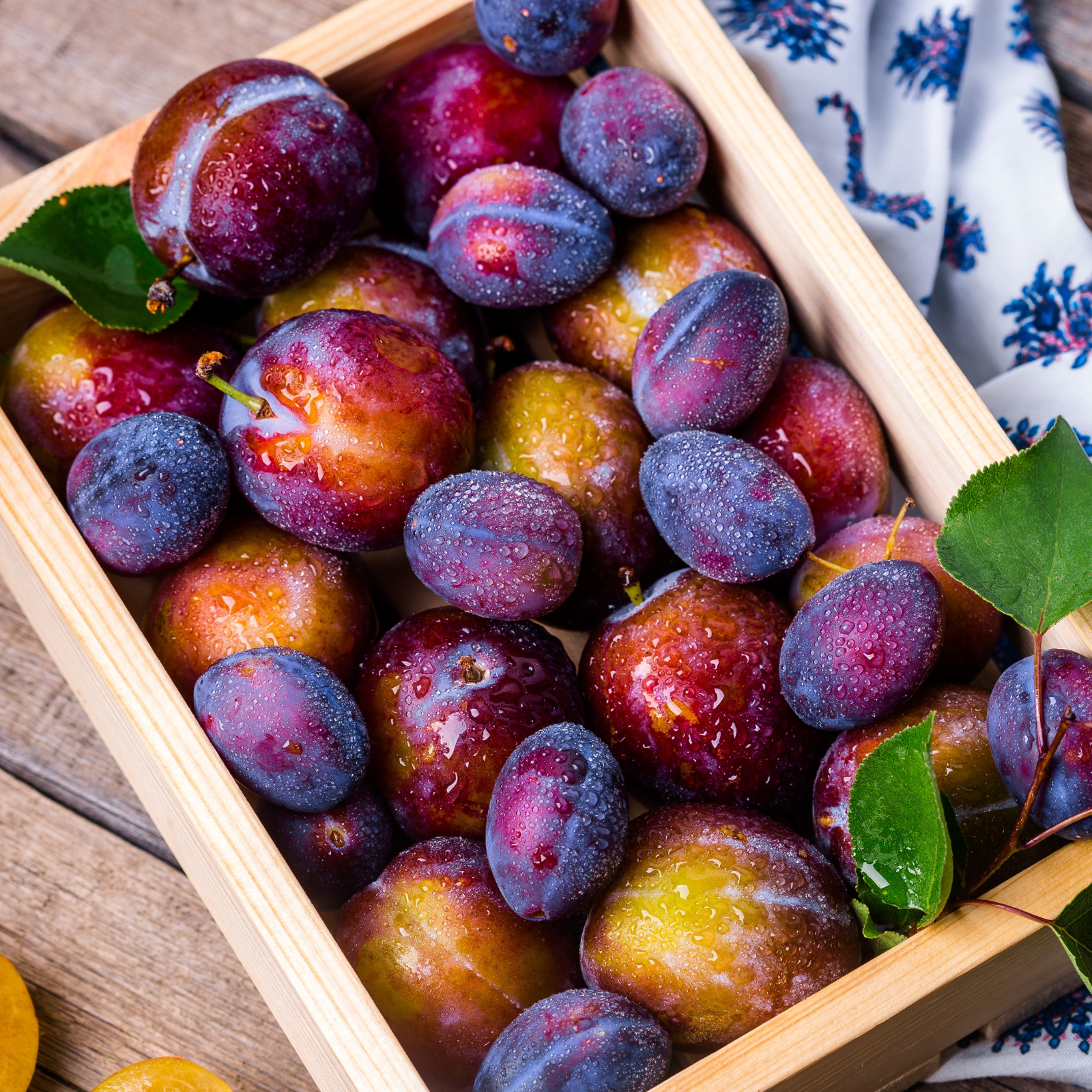 A box of freshly picked plum. Sea Salt + Plum fragrance oil for soap and candlemaking.