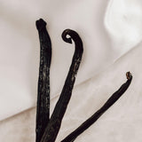 Vanilla pods on the table. Vanilla Duplicity fragrance oil by Scentivore. 