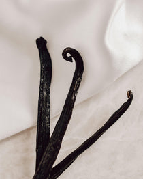 Vanilla pods on the table. Vanilla Duplicity fragrance oil by Scentivore. 